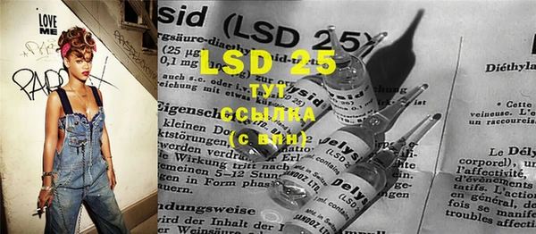spice Аркадак