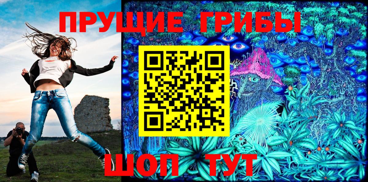 Псилоцибиновые грибы Cubensis Саров