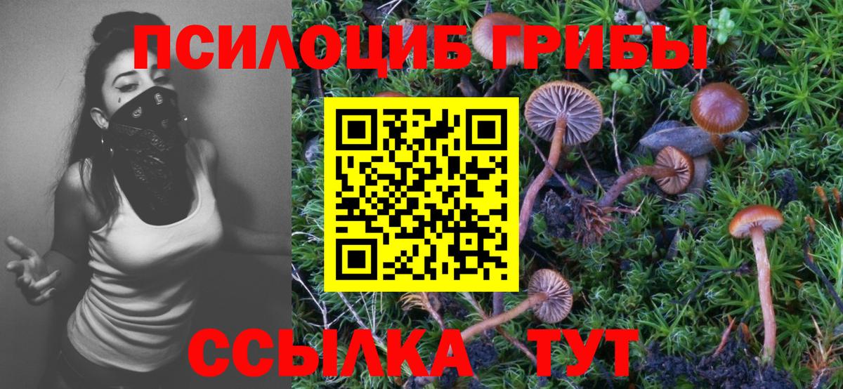 Саров  Галлюциногенные грибы мухоморы  Вход с VPN 